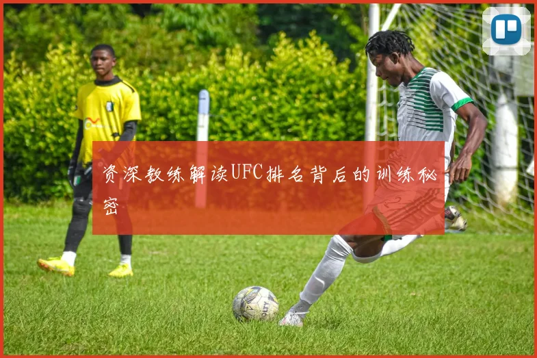 资深教练解读UFC排名背后的训练秘密