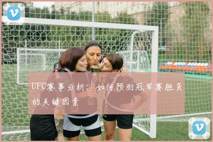 UFC赛事分析：如何预测冠军赛胜负的关键因素