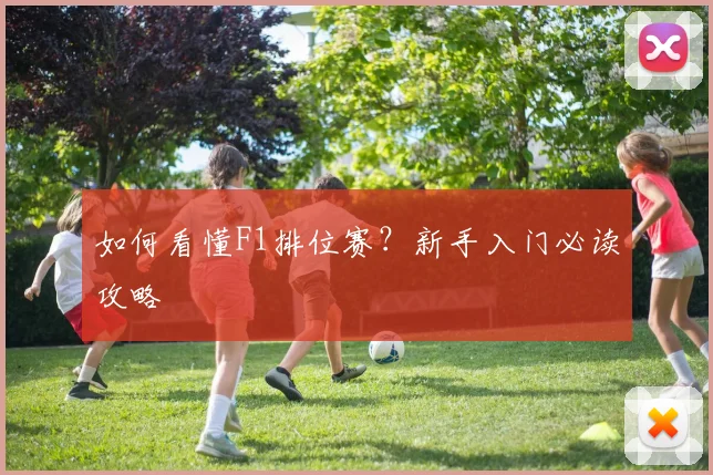 如何看懂F1排位赛?新手入门必读攻略